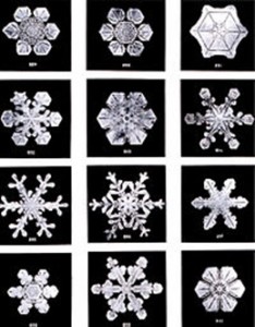 Kar kristalleri üzerine ilk araştırmaları yapan ABD'li Wilson Bentley, elli yıl boyunca kar kristallerinin 6.000 fotoğrafı çekmiştir.