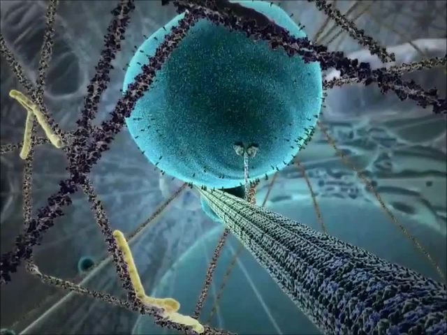 kinesin proteini hd images ile ilgili görsel sonucu